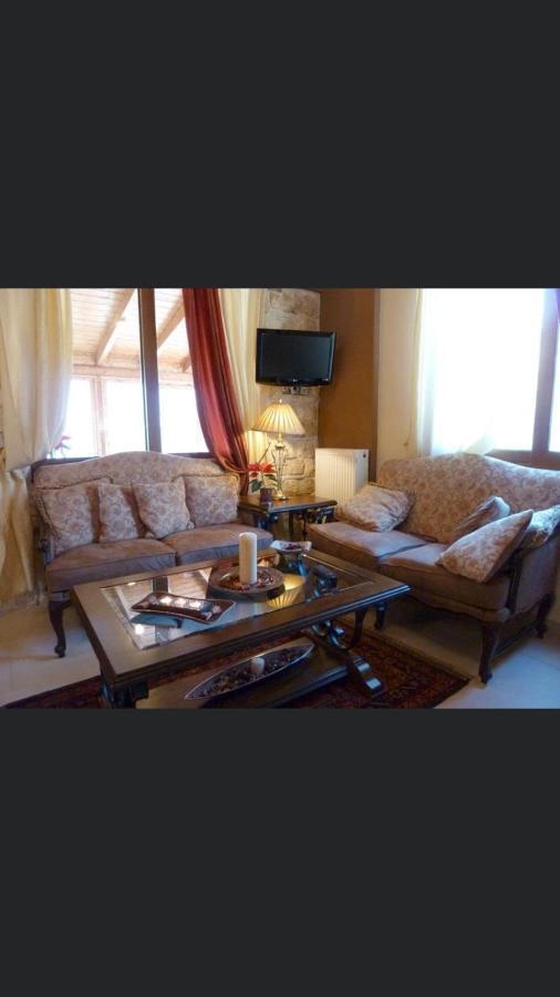 Aetoma Suites Synikia Mesi Trikalon Buitenkant foto