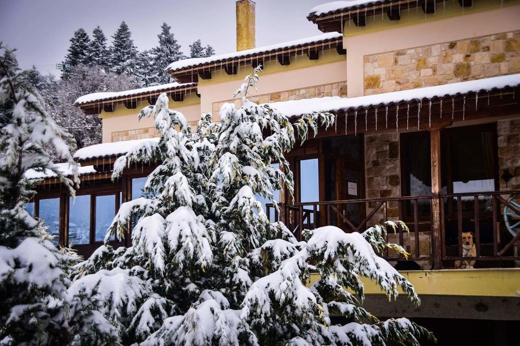 Aetoma Suites Synikia Mesi Trikalon Buitenkant foto