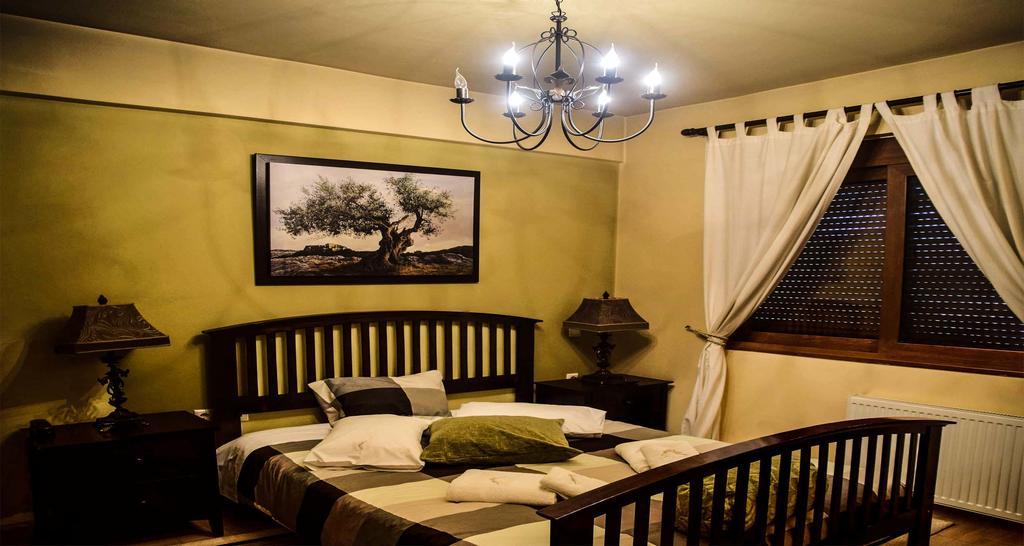 Aetoma Suites Synikia Mesi Trikalon Buitenkant foto